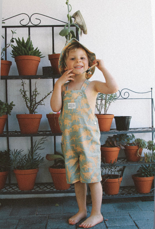 'Green dinosaurs' Kids short dungaree