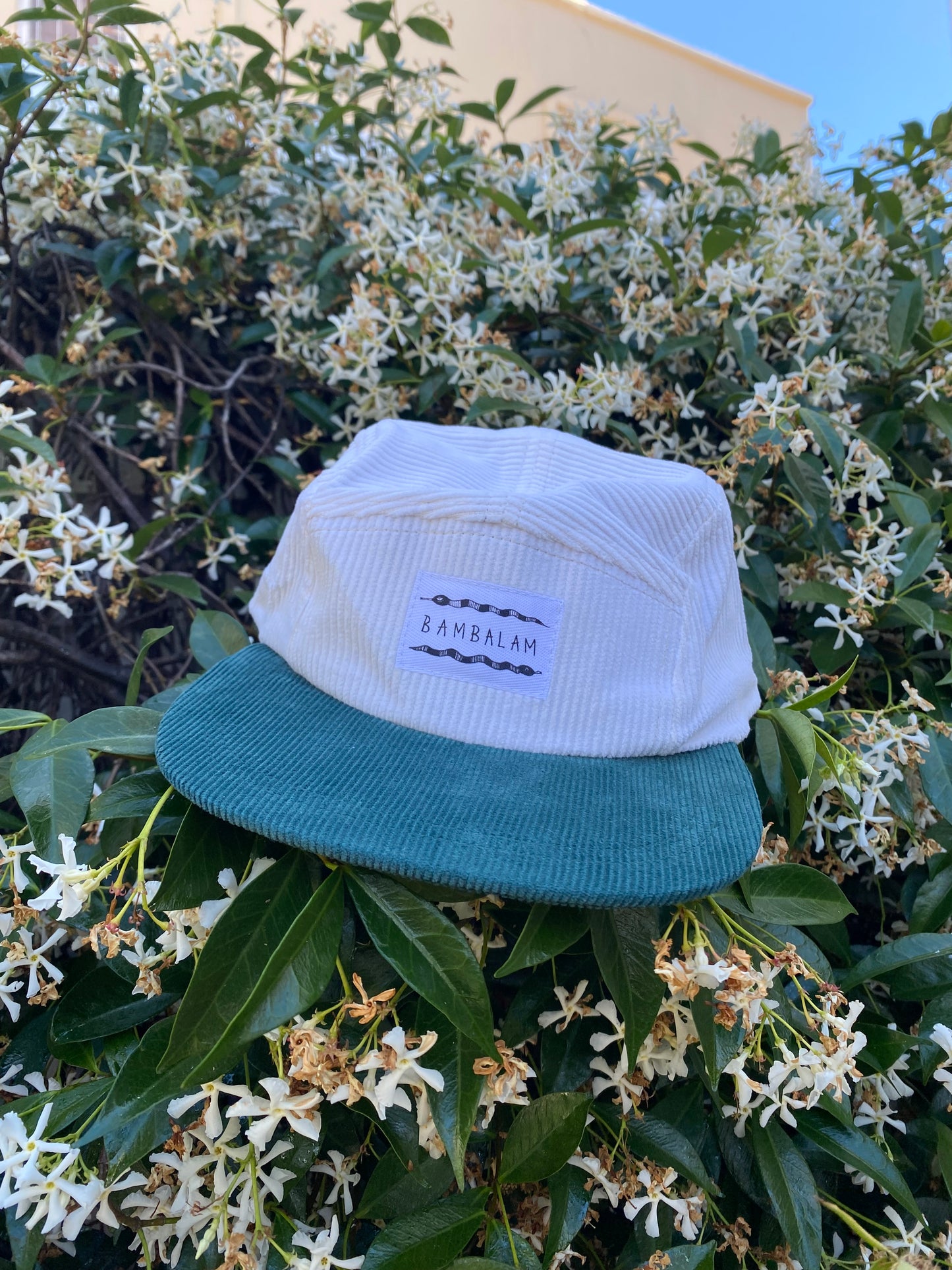 5 panel cap - Green cords