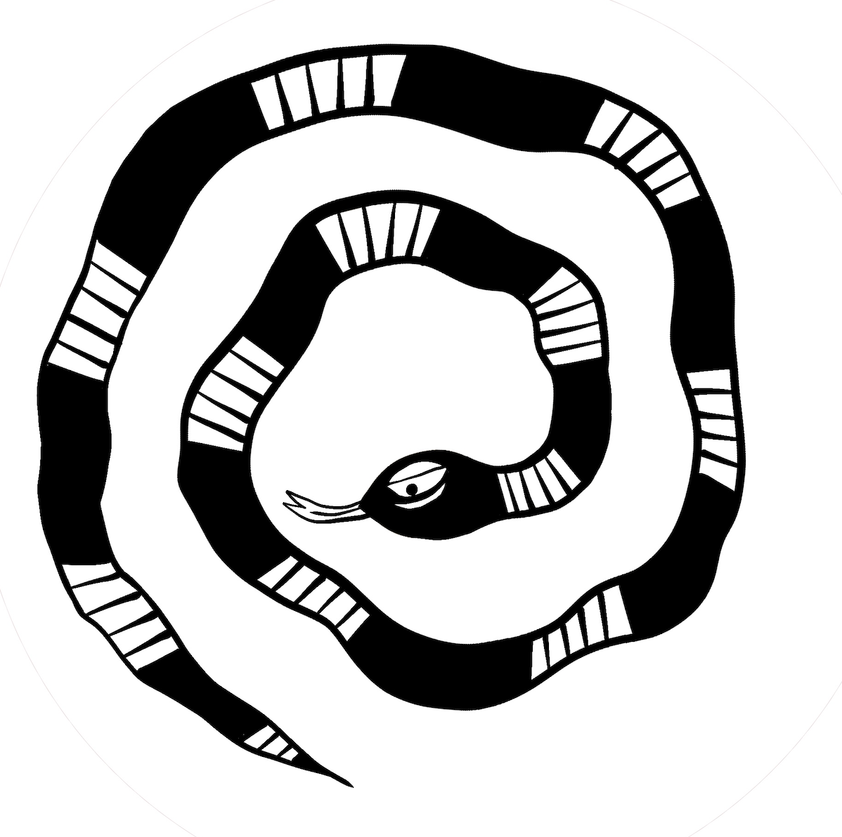 Bambalam Clothing Bambalamlife bambalam-clothing-bambalamlife