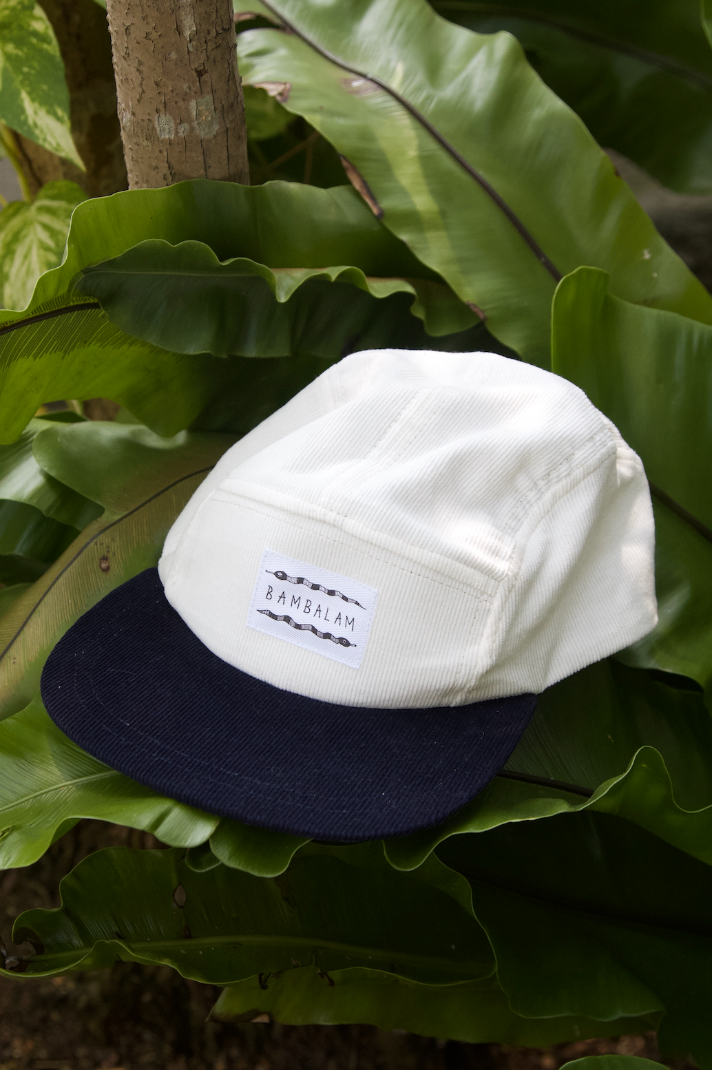 5 Panel Cap - Navy Cords